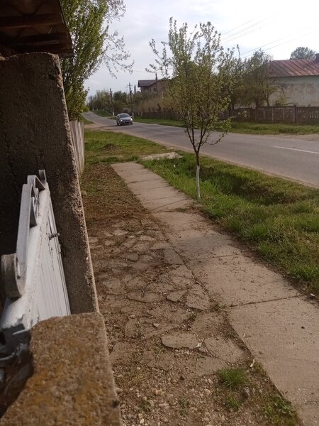 Bacalesti, str. Principala nr. 48, judetul Teleorman