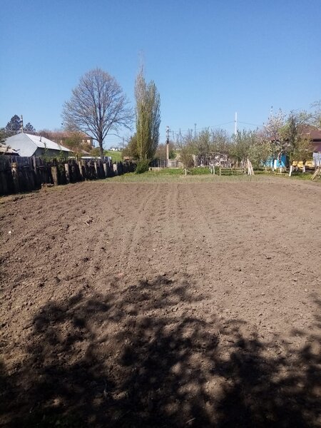 Bacalesti, str. Principala nr. 48, judetul Teleorman