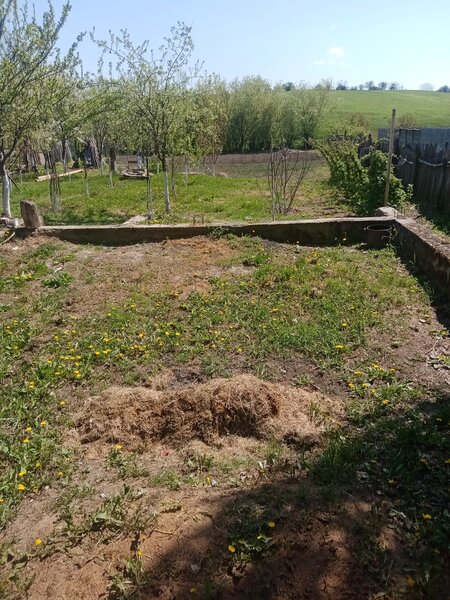 Bacalesti, str. Principala nr. 48, judetul Teleorman