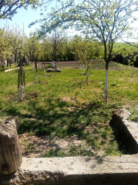 Bacalesti, str. Principala nr. 48, judetul Teleorman