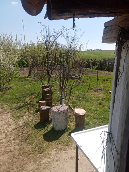 Bacalesti, str. Principala nr. 48, judetul Teleorman