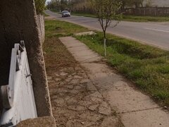 Bacalesti, str. Principala nr. 48, judetul Teleorman